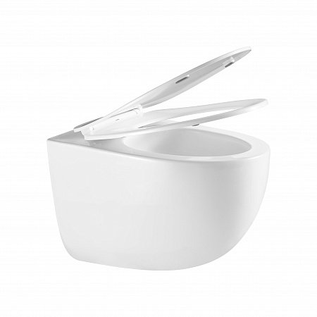 Подвесной унитаз безободковый Terminus Енисей Monolit 560х390 белый Новоуральск - фото 7 Подвесной унитаз безободковый Terminus Енисей Monolit 560х390 белый Новоуральск - фото 7