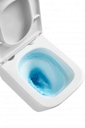 Подвесной унитаз безободковый Terminus Ватикан Monolit 490х340 белый Новоуральск - фото 8 Подвесной унитаз безободковый Terminus Ватикан Monolit 490х340 белый Новоуральск - фото 8