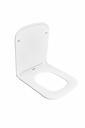 Сиденье для унитаза Terminus Ватикан цвет белый Новоуральск - фото 2 Сиденье для унитаза Terminus Ватикан цвет белый Новоуральск - фото 2