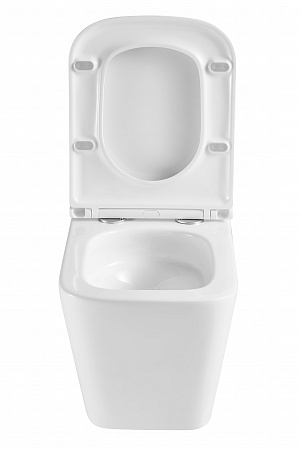 Подвесной унитаз безободковый Terminus Ватикан Monolit 490х340 белый Новоуральск - фото 7 Подвесной унитаз безободковый Terminus Ватикан Monolit 490х340 белый Новоуральск - фото 7