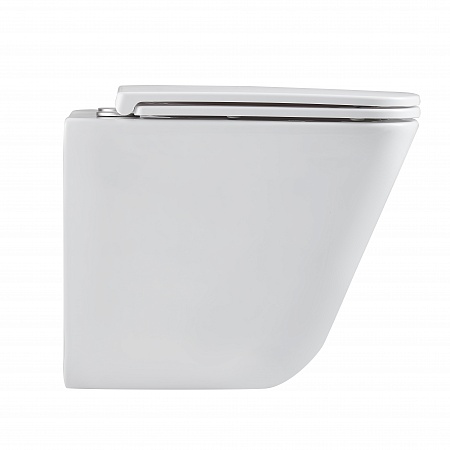 Подвесной унитаз безободковый Terminus Ватикан Monolit 490х340 белый Новоуральск - фото 4 Подвесной унитаз безободковый Terminus Ватикан Monolit 490х340 белый Новоуральск - фото 4