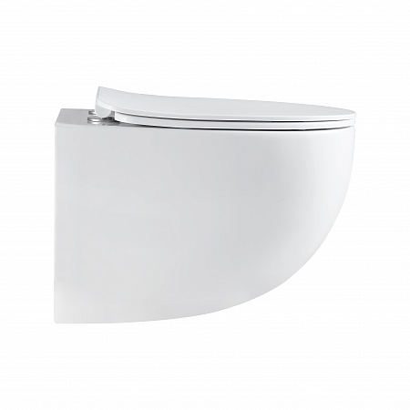 Подвесной унитаз безободковый Terminus Енисей Monolit 560х390 белый Новоуральск - фото 4 Подвесной унитаз безободковый Terminus Енисей Monolit 560х390 белый Новоуральск - фото 4