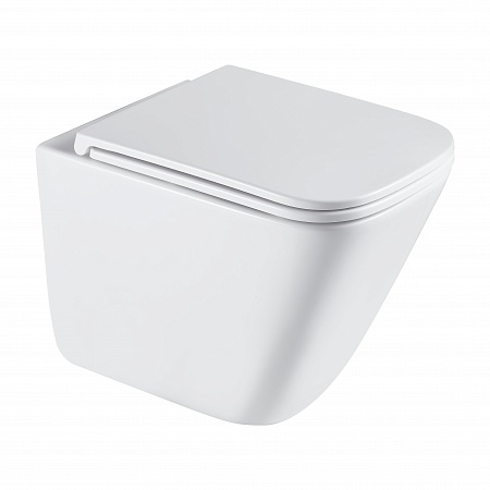 Подвесной унитаз безободковый Terminus Ватикан Monolit 490х340 белый Новоуральск - фото 2 Подвесной унитаз безободковый Terminus Ватикан Monolit 490х340 белый Новоуральск - фото 2