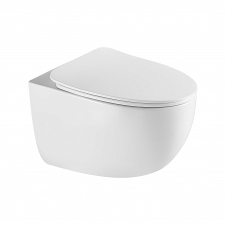 Подвесной унитаз безободковый Terminus Енисей Monolit 560х390 белый Новоуральск - фото 2 Подвесной унитаз безободковый Terminus Енисей Monolit 560х390 белый Новоуральск - фото 2