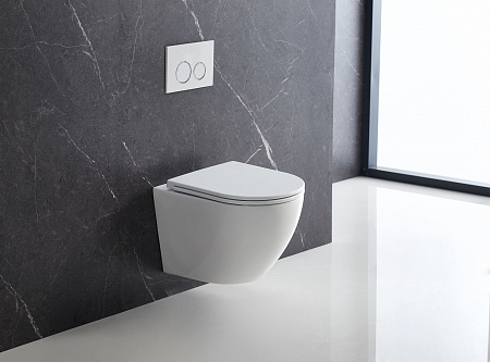 Подвесной унитаз безободковый Terminus Аврора Monolit 495х360 белый Новоуральск - фото 1 Подвесной унитаз безободковый Terminus Аврора Monolit 495х360 белый Новоуральск - фото 1