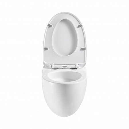 Подвесной унитаз безободковый Terminus Енисей Monolit 560х390 белый Новоуральск - фото 5 Подвесной унитаз безободковый Terminus Енисей Monolit 560х390 белый Новоуральск - фото 5