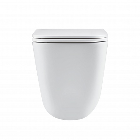 Подвесной унитаз безободковый Terminus Ватикан Monolit 490х340 белый Новоуральск - фото 6 Подвесной унитаз безободковый Terminus Ватикан Monolit 490х340 белый Новоуральск - фото 6