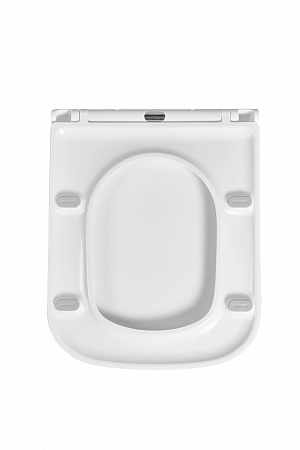 Сиденье для унитаза Terminus Ватикан цвет белый Новоуральск - фото 4 Сиденье для унитаза Terminus Ватикан цвет белый Новоуральск - фото 4