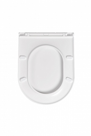 Сиденье для унитаза Terminus Классик цвет белый Новоуральск - фото 4 Сиденье для унитаза Terminus Классик цвет белый Новоуральск - фото 4