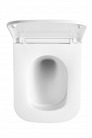 Подвесной унитаз безободковый Terminus Ватикан Monolit 490х340 белый Новоуральск - фото 3 Подвесной унитаз безободковый Terminus Ватикан Monolit 490х340 белый Новоуральск - фото 3